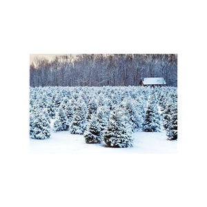 Christmas Tree Farm Wax Melt